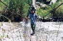 pic30 * 744 x 487 * (167KB)